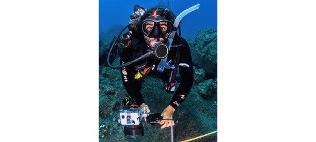 Glauco Antonio Puig-Santana Puig-Santana underwater in dive gear with an underwater camera by a yellow transect tape.