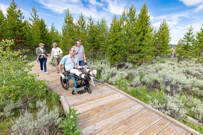 Four people exploring a paved trail, one man is in a wheelchair with a dog the other three are walking