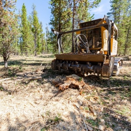 Reducing Fuels to Protect Developed Areas a large machine in a forest