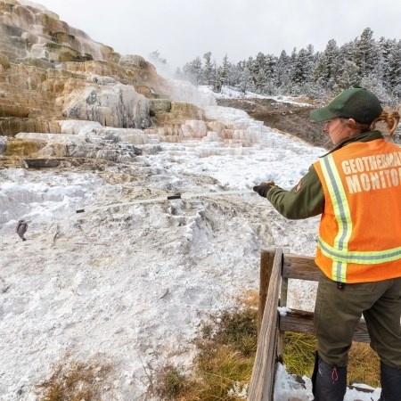 Removing Hats from Hot Springs a park ranger using a long extendable grabber to retrieve a hat from a thermal feature