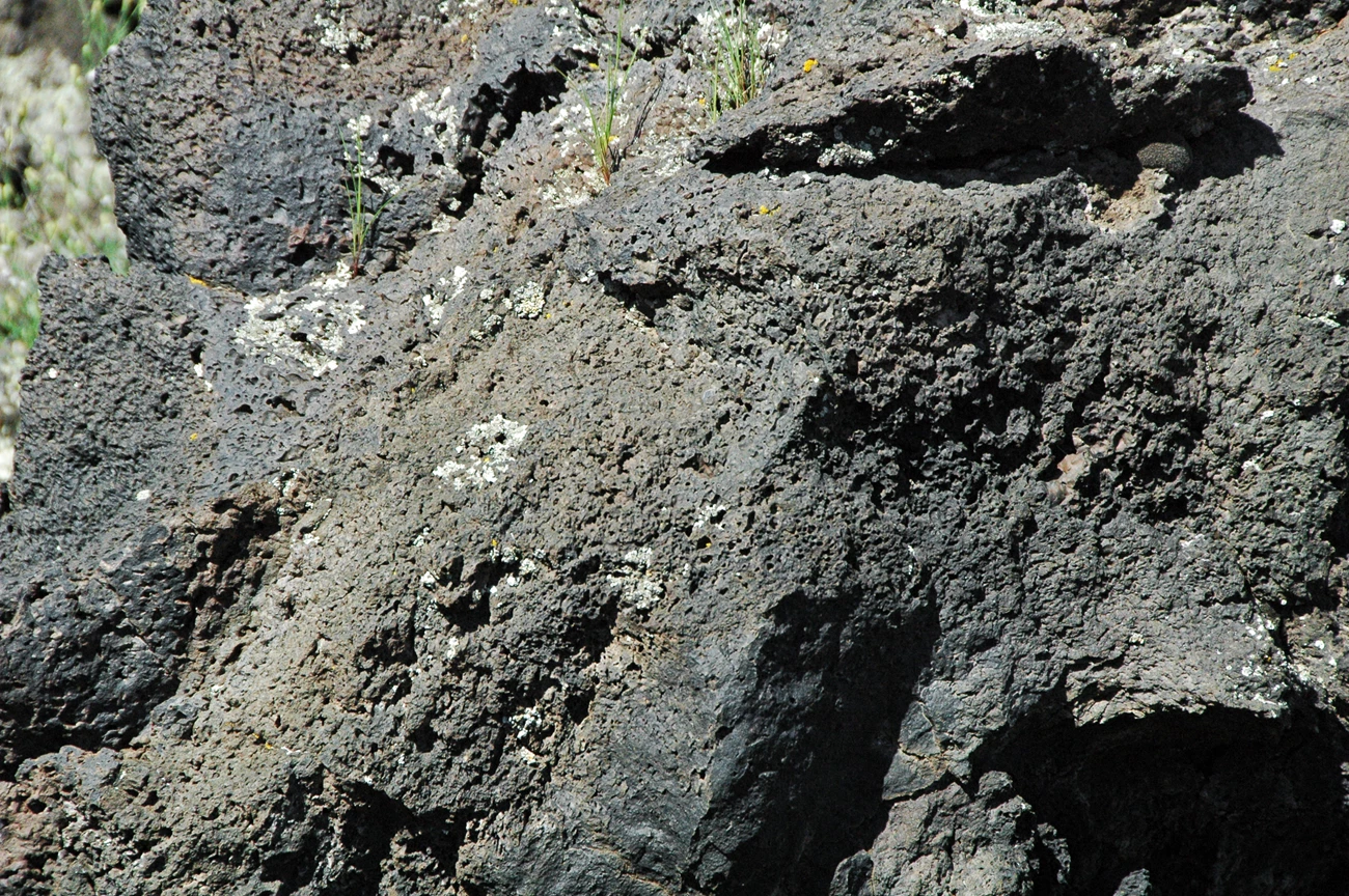 49129032586_1ce5d55667_o photo of lava rock with bubbles (vesicles)