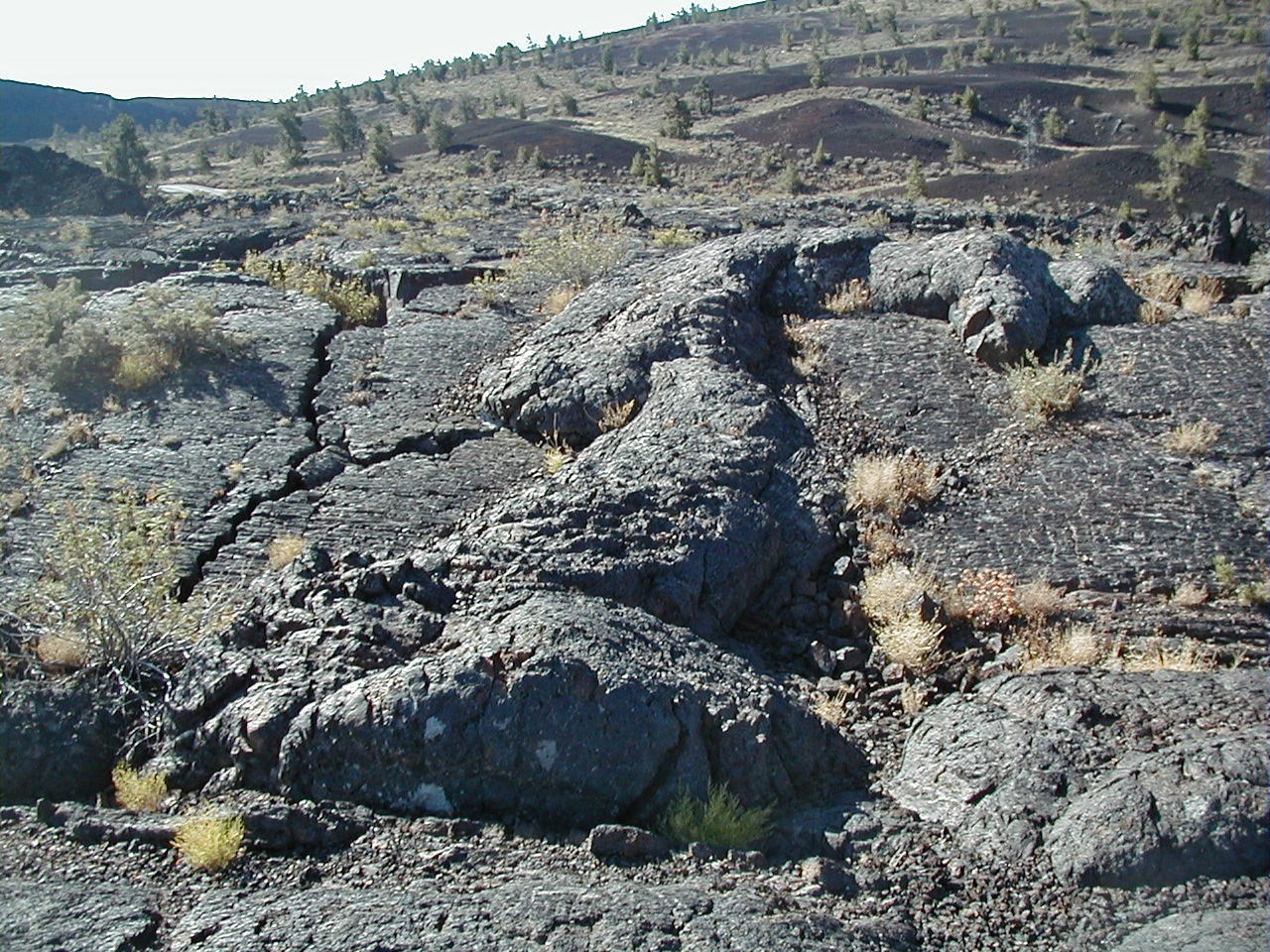 photo of a volcanic landscape with raised ridges