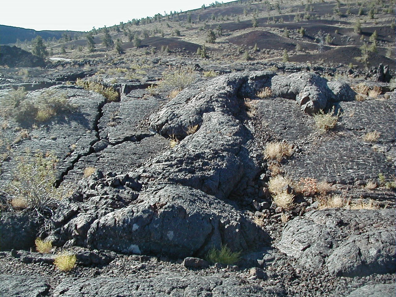 49441357042_07f60c50b1_o-web photo of a volcanic landscape with raised ridges