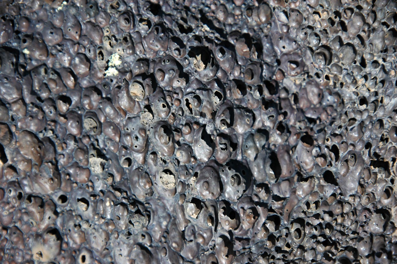 photo of lava vesicles close-up