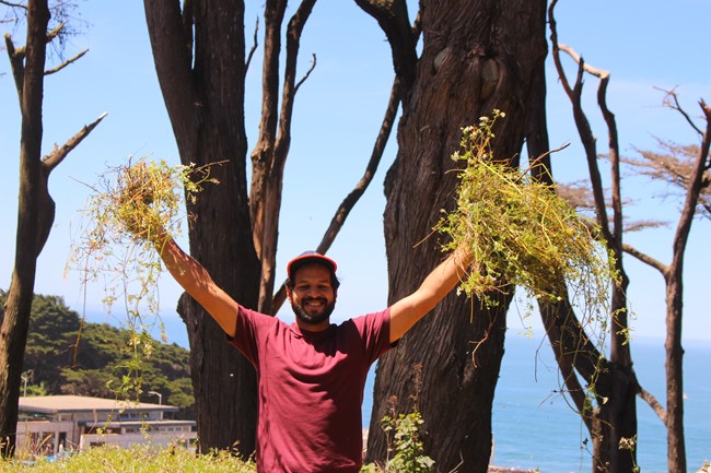 Volunteer triumphantly holds two large fistfuls of weeds up in the air above his head.