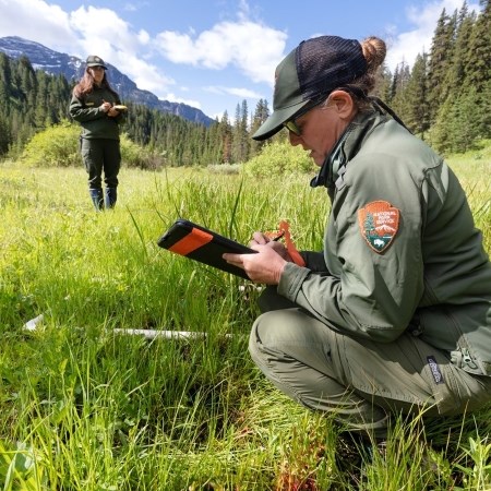 two biologists in a grassy field