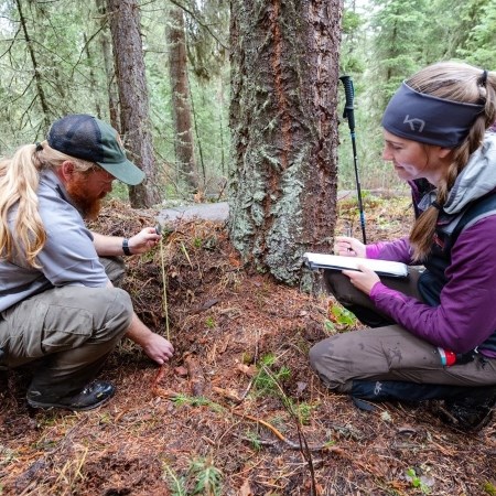 two people collecting data in a forest