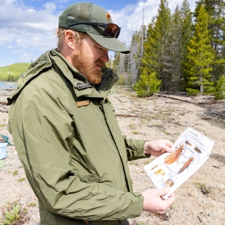 a park ranger holding a sheet of paper that has illustrations of dragonflies on it