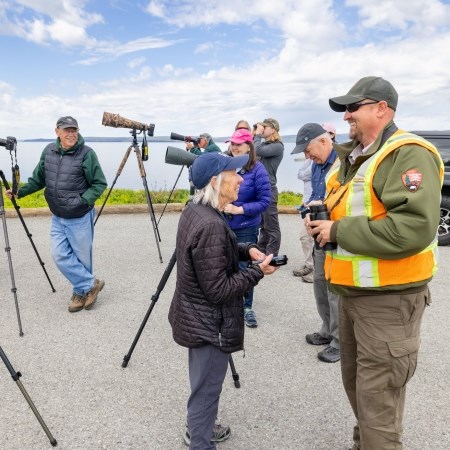 a Yellowstone employee conversing with people who are watching bears from a roadside