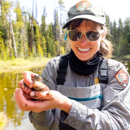 a person holding up a small frog in their hands