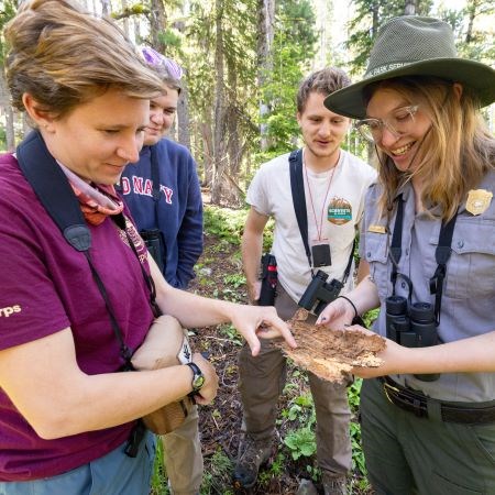lt= a group of people looking at the underside of a piece of tree bark