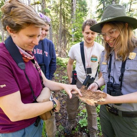 a group of people looking at the underside of a piece of tree bark