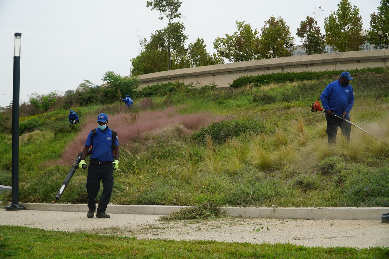 Men in blue trim grass along a hill.