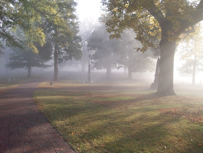 Light filters through hazy fog that surrounds tall, leafy trees, a brick walkway, rows of headstones, and short turf.