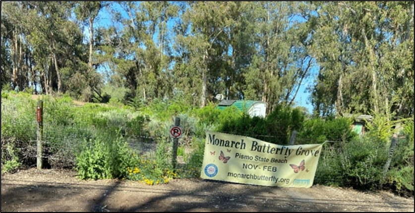 Banner with butterfly and text with green shrubs and trees in background