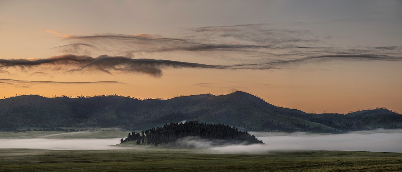 Morning sun and fog in a montane grassland