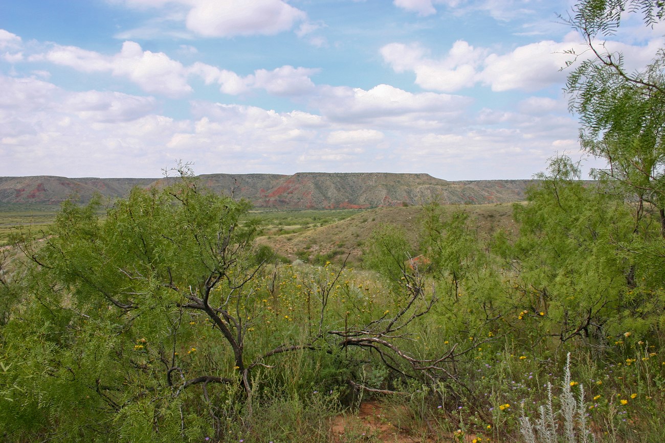 Lake Meredith National Recreation Area Green and red hills with vibrant foliage in the foreground.