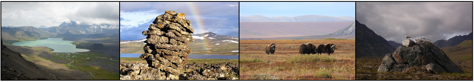 Row of photos including a lake in a valley; a rainbow behind a stone structure; muskox herd; and birds on a large rock