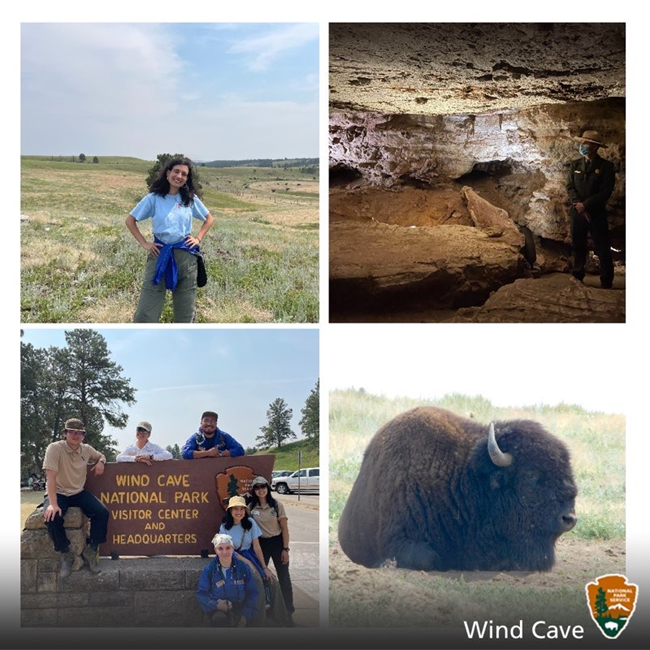 Virtual Postcard NPS Nicole Segnini Virtual postcard featuring four photos, including a person standing on the prairie, a ranger in a cave, a group in front of a Wind Cave National Park sign, and a bison