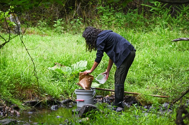 7_BioBlitz Photo Credit Sany Sorkin (FOGMT) 7_BioBlitz Photo Credit Sany Sorkin (FOGMT)