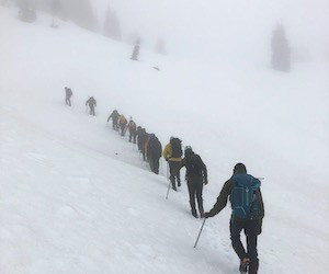 Spring hiking on snow A line of hikers on a snow-covered slope on a foggy, snowy day.