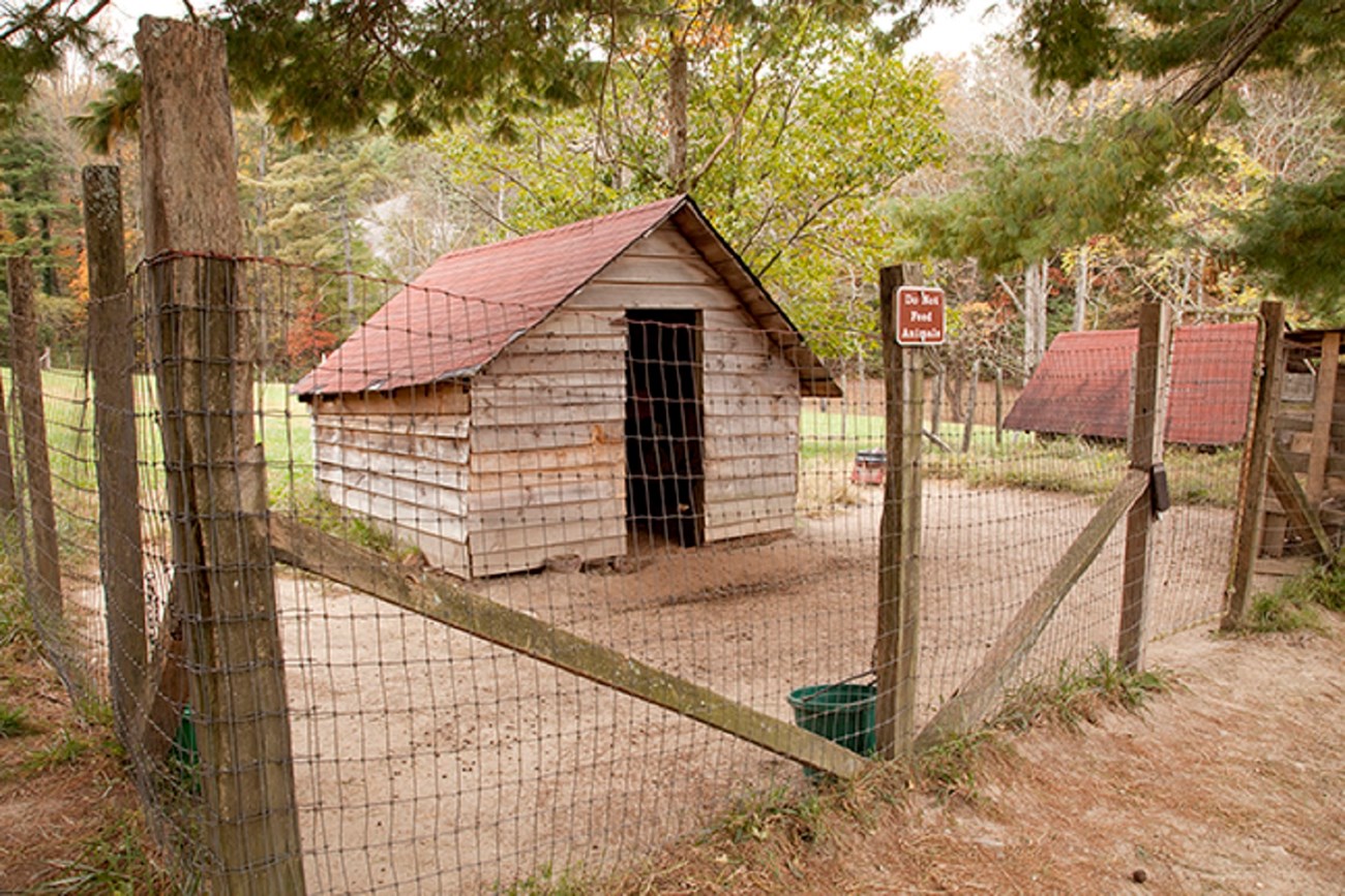 8 goat sheds image Two small wooden sheds sit within a large fenced pasture.