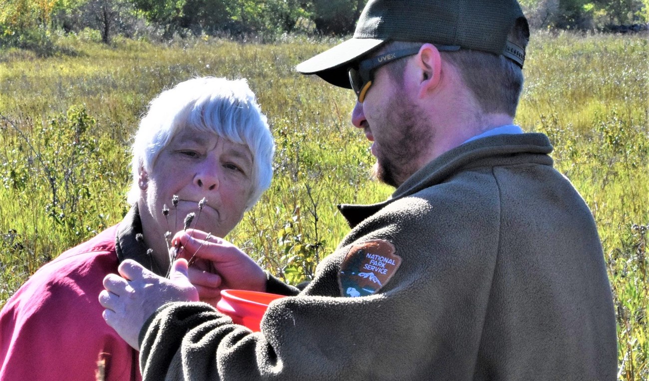 Biologist showing a visitor a plant in a grass field