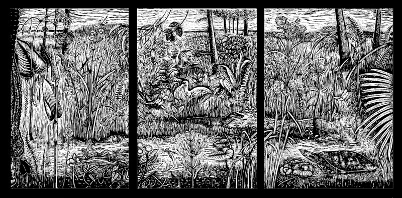 BICY 14607 Woodcut print by artist Millie Doctrow showing the diversity of landscapes, plants, and animals found within the Big Cypress swamp.