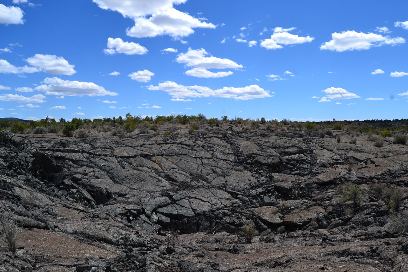 photo of a volcanic landscape covered in dark lava rock.
