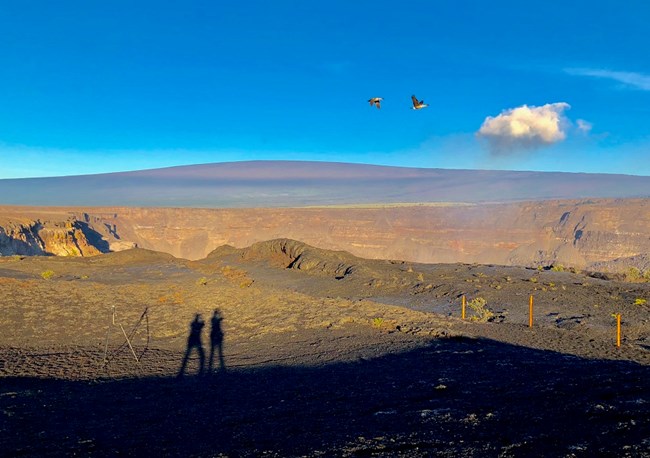 lt= Nēnē flying over crater during sunrise.