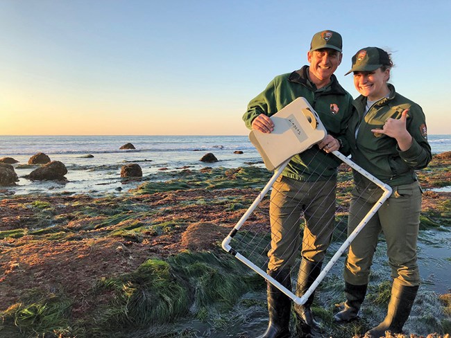 A man and woman in NPS uniform pose with a quadrat and clipboard near tide pools.