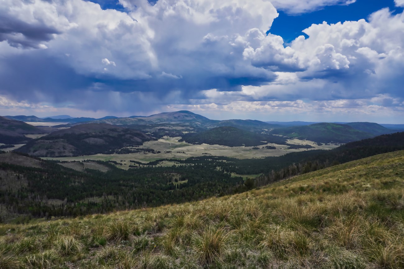 photo of a valley and rolling hills with grass and trees