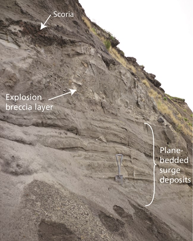 Photo of a bluff with layered sediments exposed. Labels indicate Scoria above a breccia layer above bedded surge deposits.