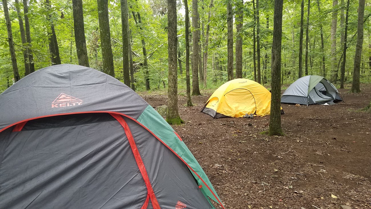 Tents set up at C&O Canal NHP Three tents set up at the Chesapeake & Ohio Canal National Historical Park.