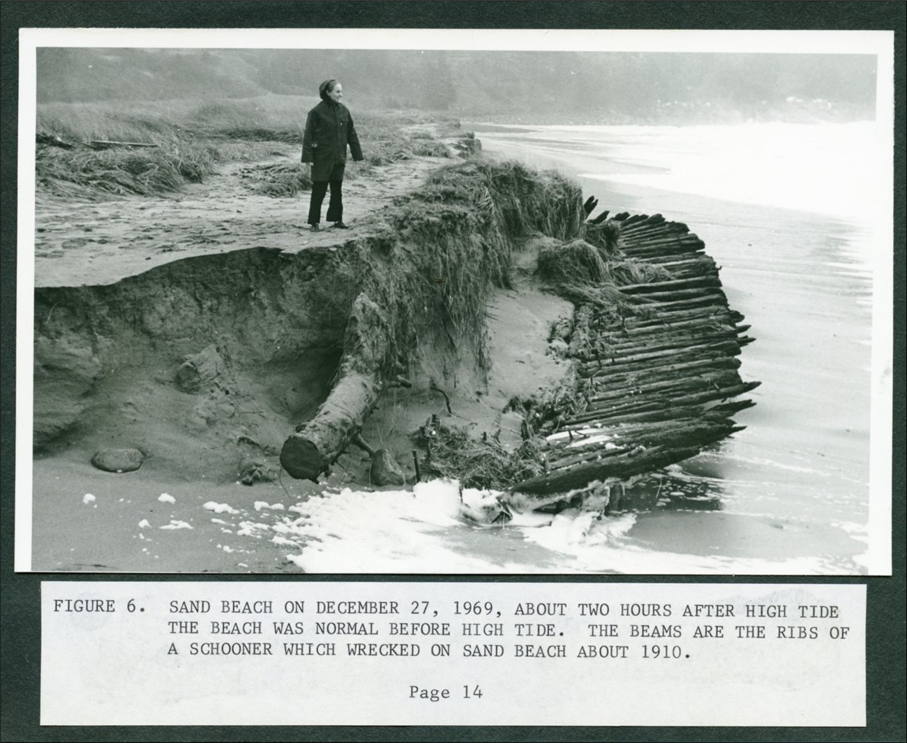 Person surveys boards sticking from eroded shore Person surveys boards sticking from eroded shore