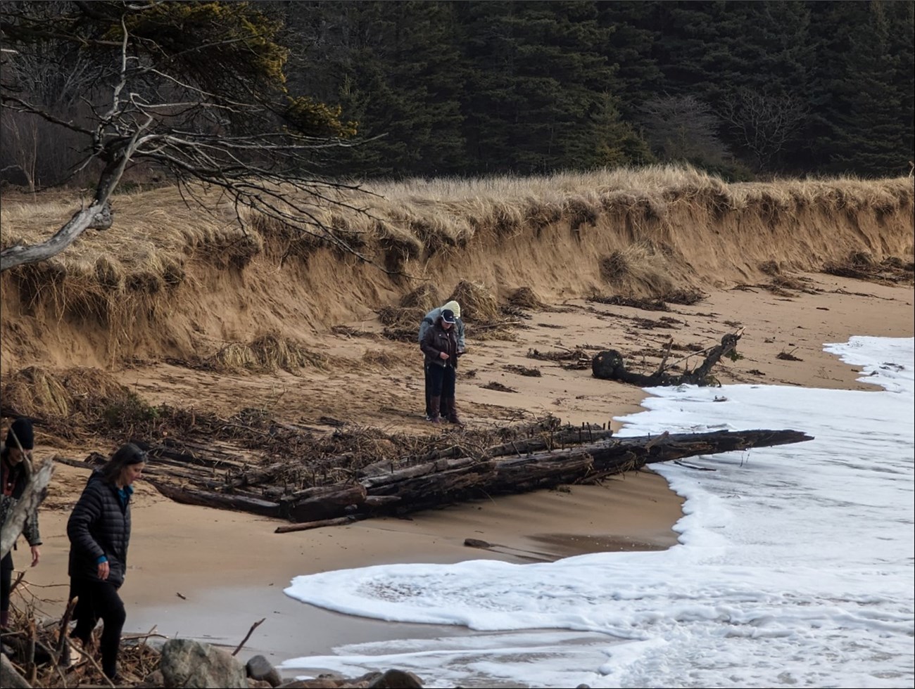 Two people survey boards on an eroded shoreline Two people survey boards on an eroded shoreline