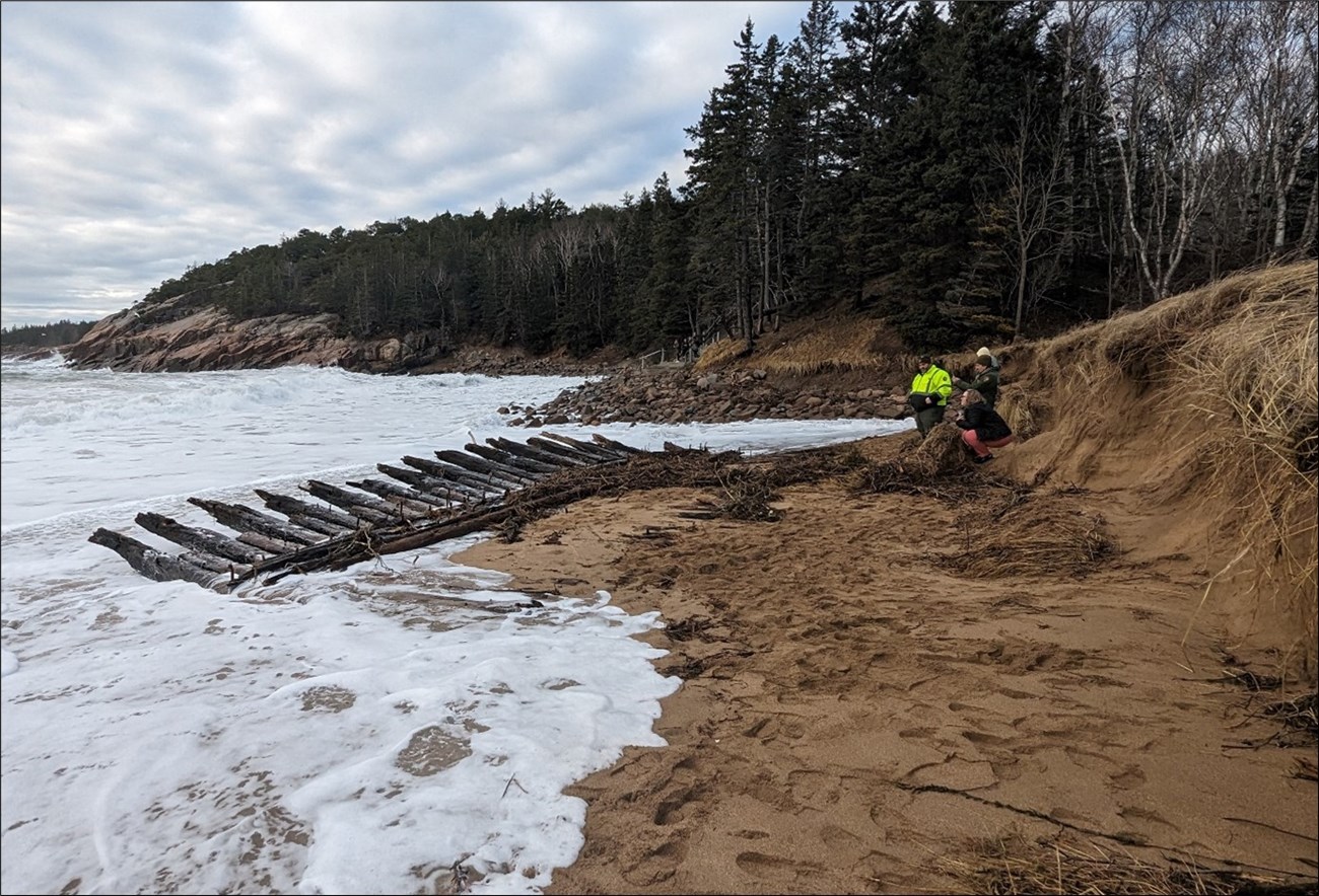 Person views wooden ship remains on beach Person views wooden ship remains on beach