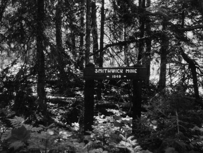 Smithwick Mine sign with the year 1849 carved in it, surrounded by forest