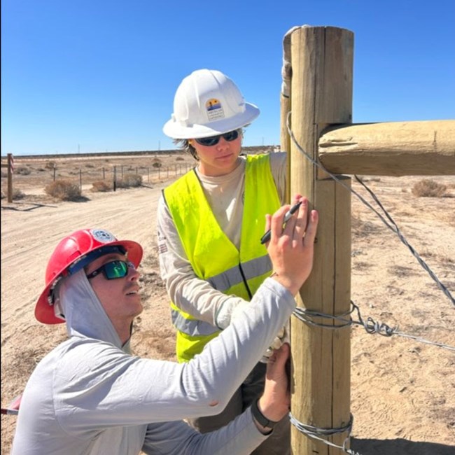 Two American Conservation Experience crew members wearing hard hats and safety gear work together to mark a wooden fencing post in a dry, open landscape.