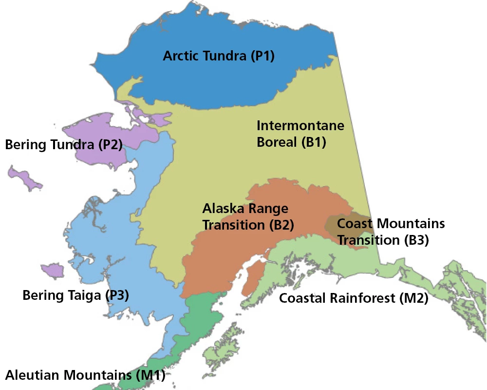 AK-Ecoregions-Map-bees map of alaska divided into eight color-distinct regions