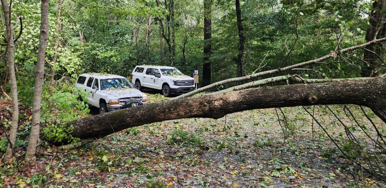 APHN vehicles survive Helene Two white pickup trucks parked in trees with a large tree laying in front.