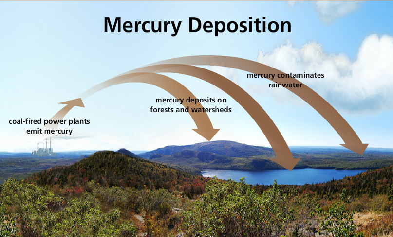 Graphic image of a landscape showing the process of mercury deposition in the environment. Coal-fired power plants emit mercury, then mercury deposits on forests and watersheds or contaminates rainwater.
