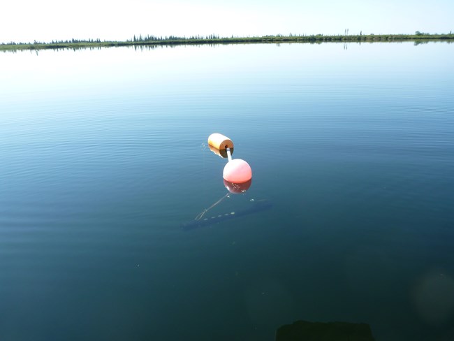 a sonde (water quality monitoring equipment) is tethered to a buoy in a shallow lake