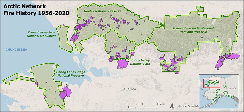 This map shows historic fire perimeters (purple) from 1956-2020 that burned within or crossed into ARCN park units.