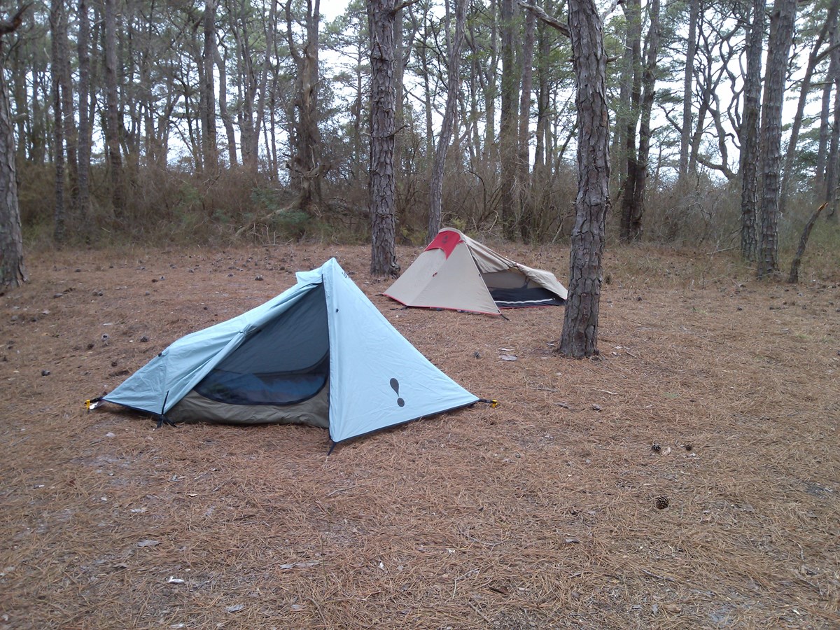 Two camping tents in a wooded area