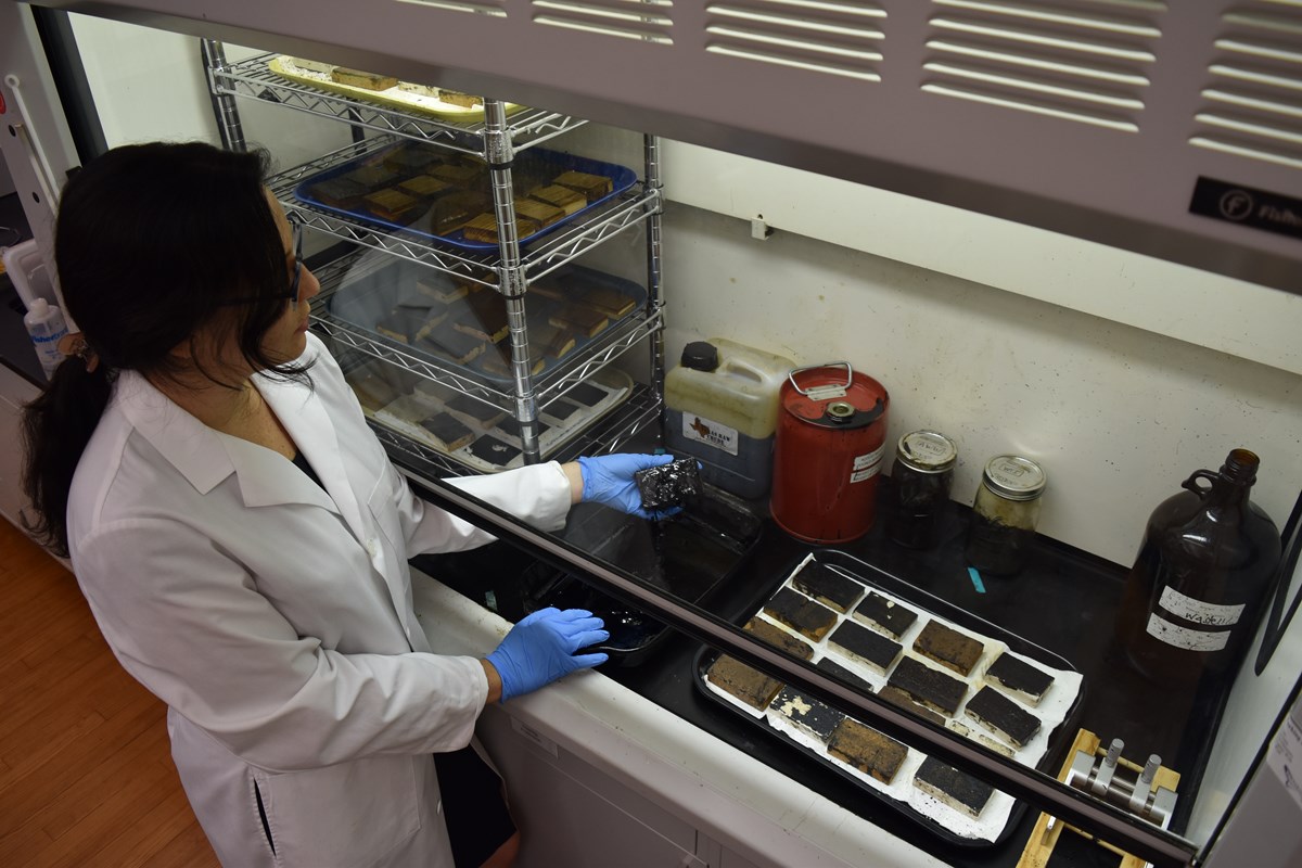 Elizabeth Salmon soils samples with crude oil in the lab before treating with surface washing agents.