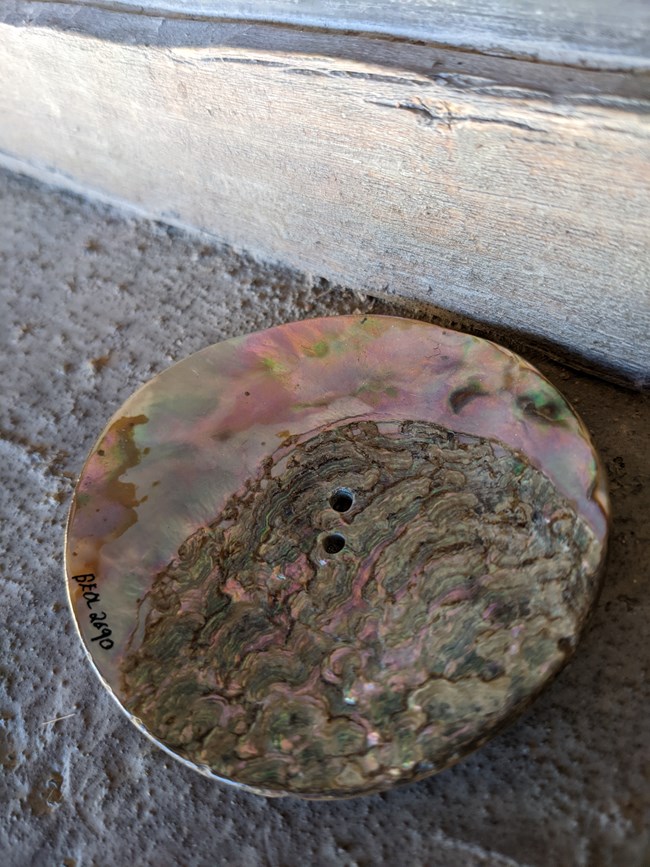 During the fur trade era, abalone shell was desirable for various purposes A mid 1800s replica button made from abalone rests on a window sill