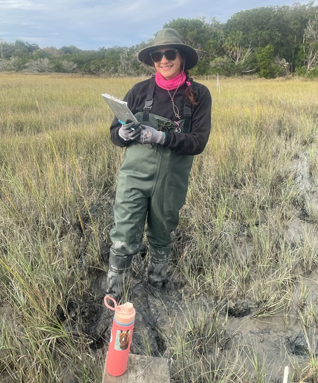 Abby Gonzalez conducts salt marsh elevation monitoring woman standing in a marsh