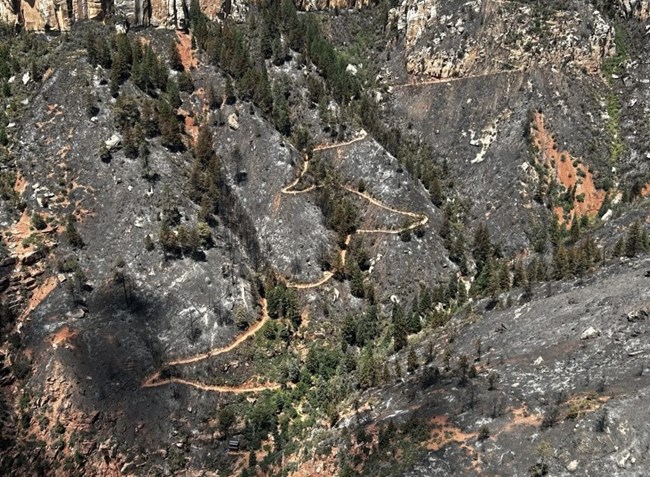 A burned hillside and a distinct trail running through the burn scar