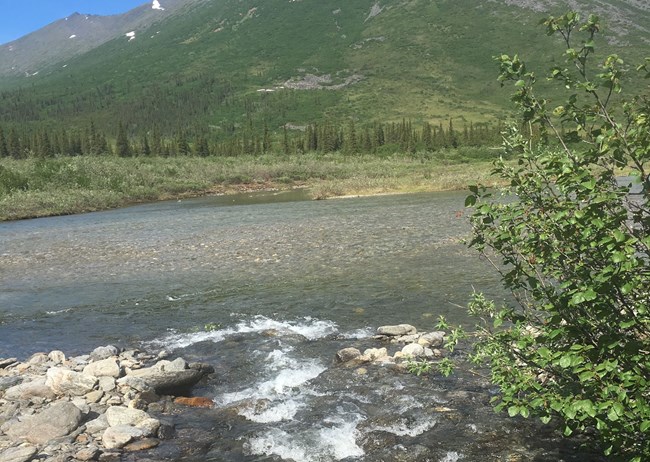 AkillikTrib_Downstream_061217_web An Arctic stream--a ributary to the Akillik River.